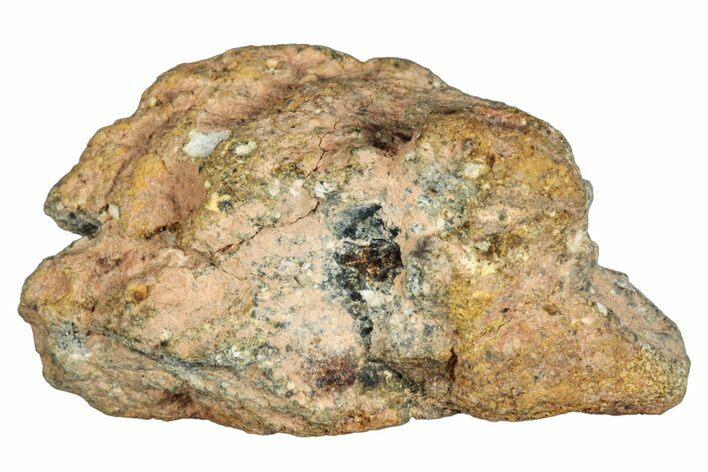 Howardite Meteorite ( g) - Bechar #288537